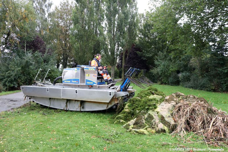 Der Algenmix wird fachgerecht entsorgt Der Algenmix wird fachgerecht entsorgt